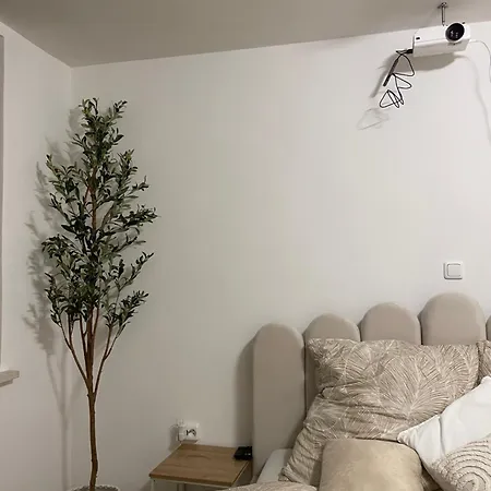 Stylisches Mit Dachterrasse Und Whirlpool Apartment