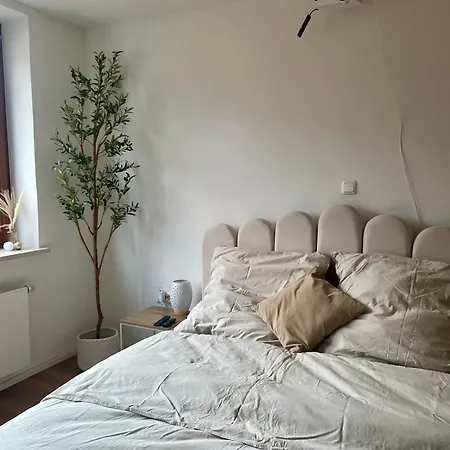 アパート Stylisches Mit Dachterrasse Und Whirlpool ゲルストホーフェン