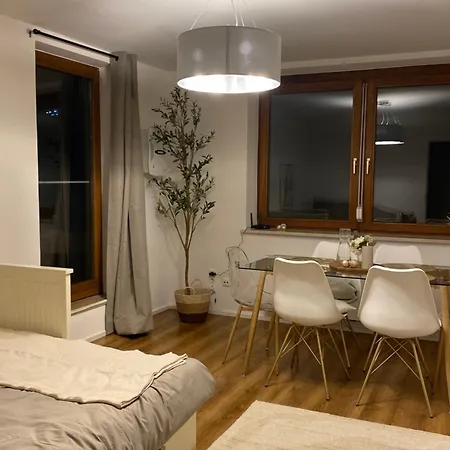 Stylisches Mit Dachterrasse Und Whirlpool Apartment Gersthofen